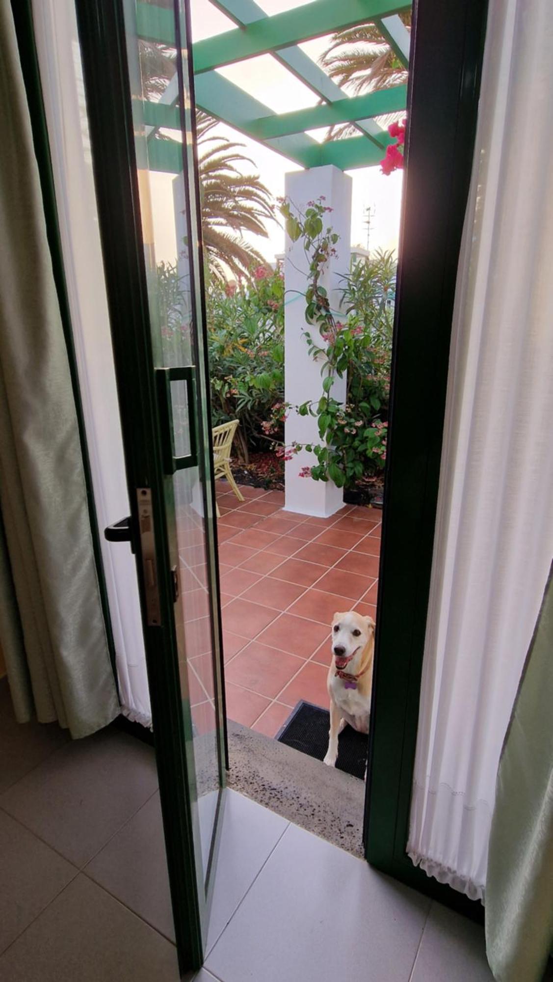 Villa Casa Maracuya à Costa Teguise Extérieur photo